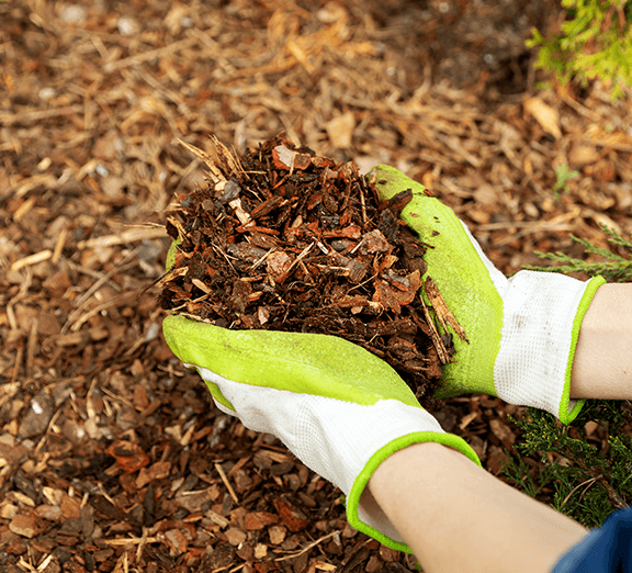 Buy Compost & Bark Online | Gardening Supplies | UpCountry